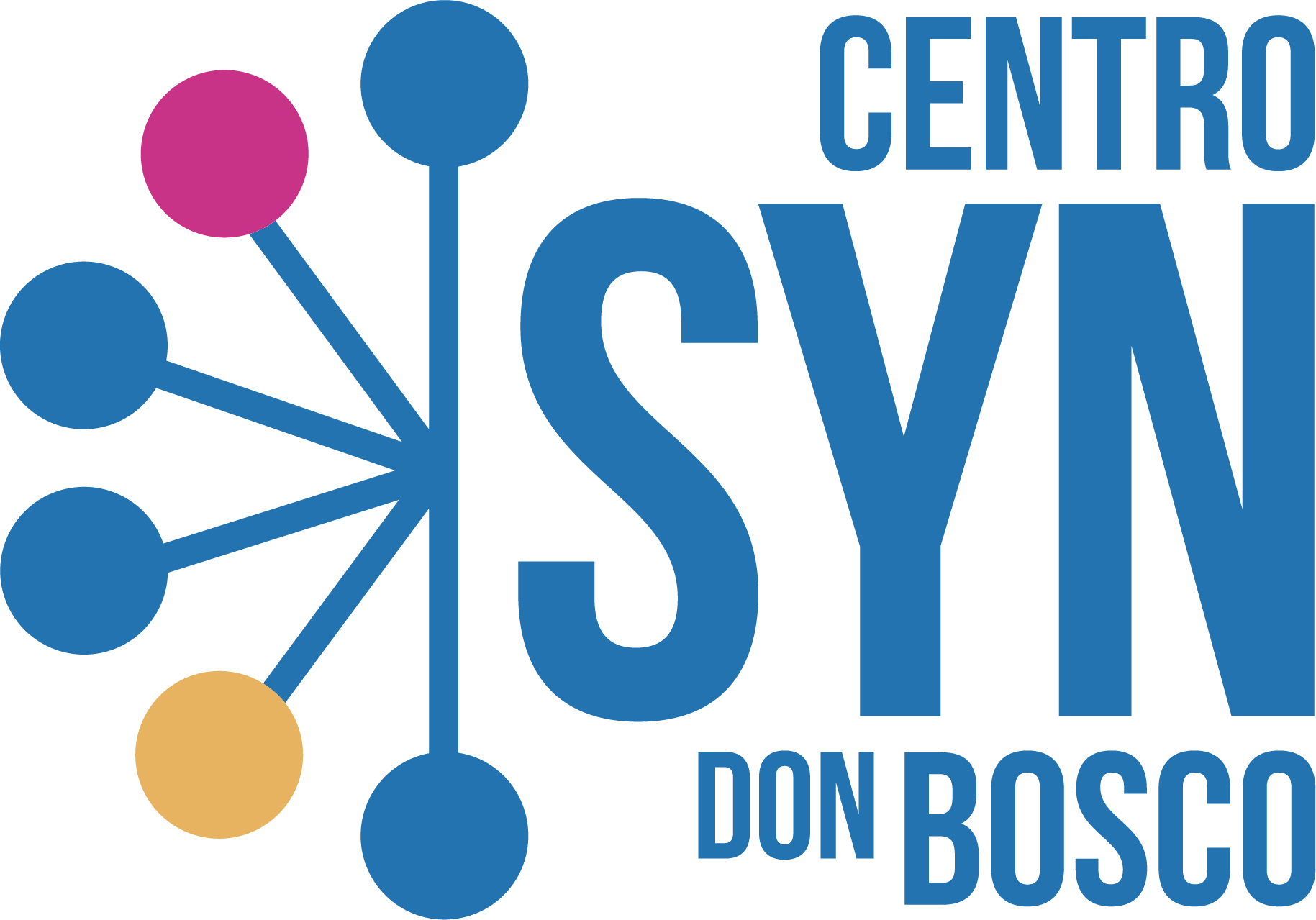 Logo SYN Don Bosco